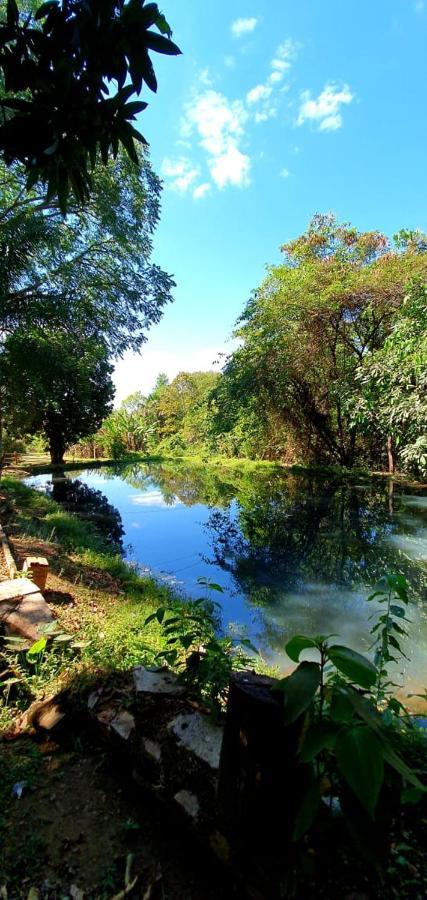 Villa Chacara Bica Dagua à Pirenópolis Extérieur photo